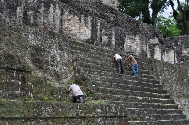 The real work of uncovering Tikal continues everyday. While archaeologists continue to dig, men comb the structures daily, pulling off growth and weeds to keep what has already been uncovered, visible. 